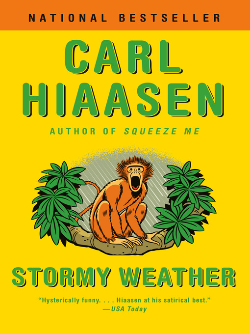 Cover image for Stormy Weather